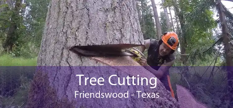 Tree Cutting Friendswood - Texas