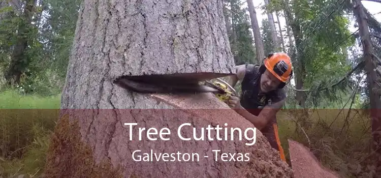 Tree Cutting Galveston - Texas