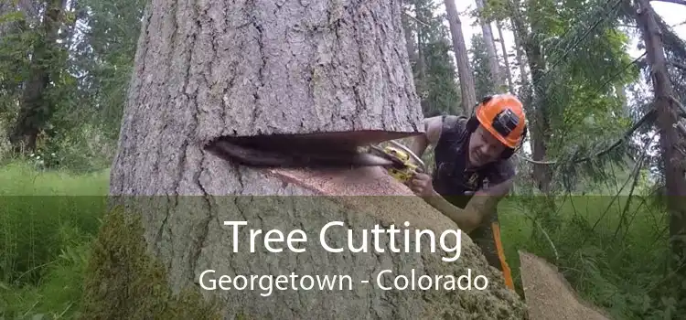 Tree Cutting Georgetown - Colorado