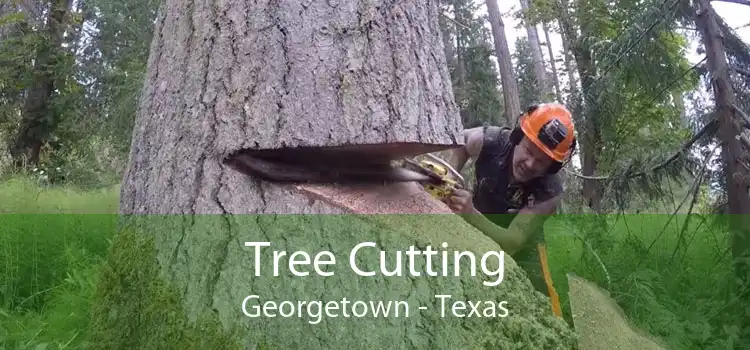 Tree Cutting Georgetown - Texas