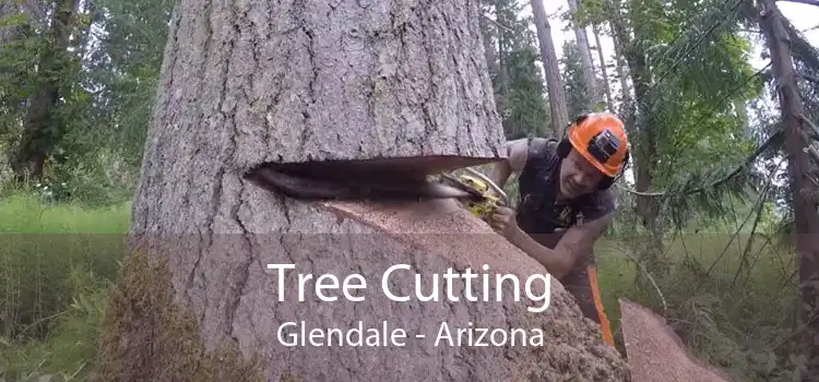 Tree Cutting Glendale - Arizona