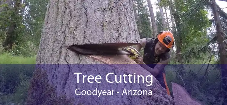 Tree Cutting Goodyear - Arizona