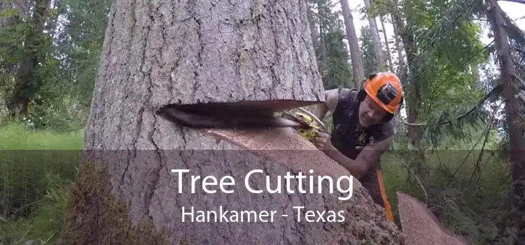 Tree Cutting Hankamer - Texas