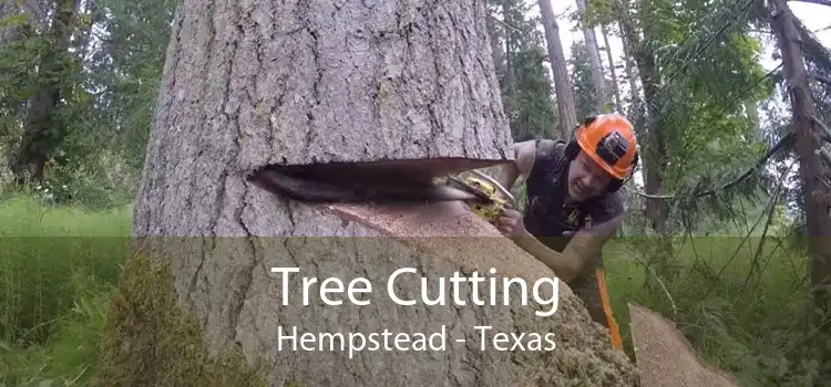 Tree Cutting Hempstead - Texas