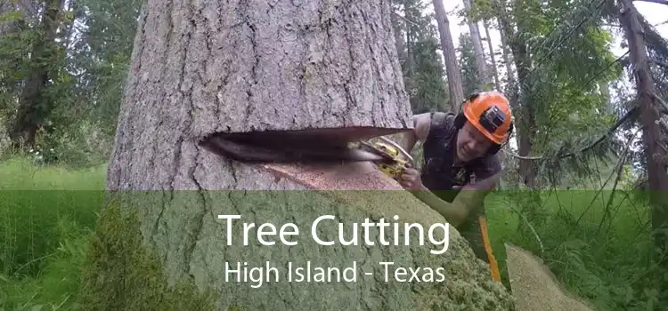 Tree Cutting High Island - Texas