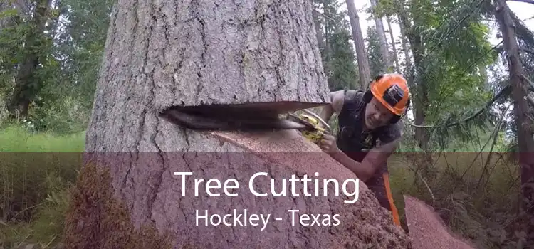 Tree Cutting Hockley - Texas