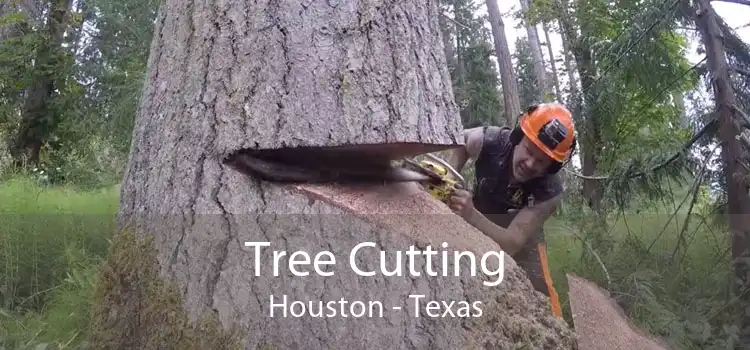 Tree Cutting Houston - Texas