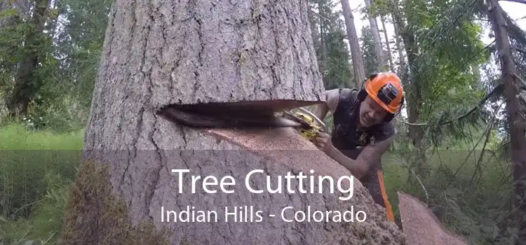 Tree Cutting Indian Hills - Colorado