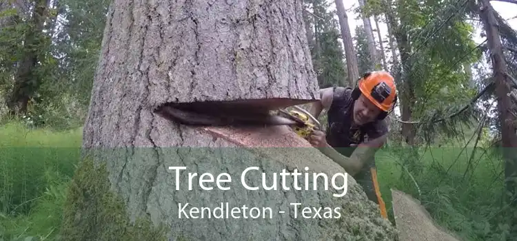 Tree Cutting Kendleton - Texas