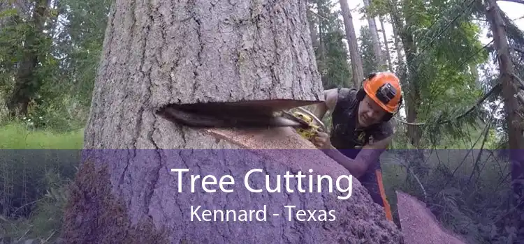 Tree Cutting Kennard - Texas