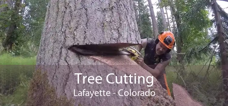 Tree Cutting Lafayette - Colorado