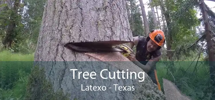 Tree Cutting Latexo - Texas