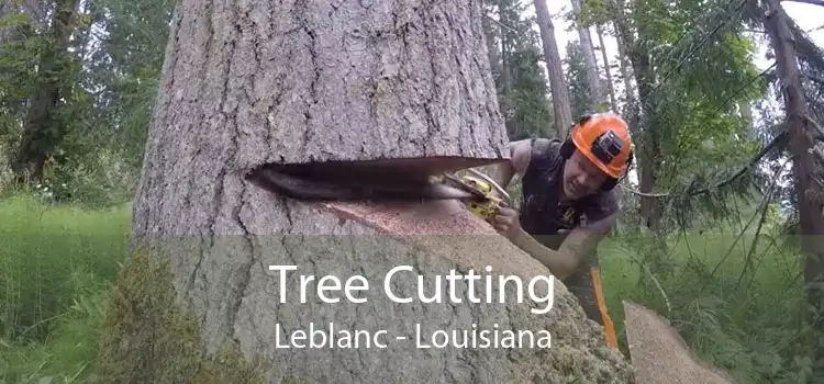 Tree Cutting Leblanc - Louisiana