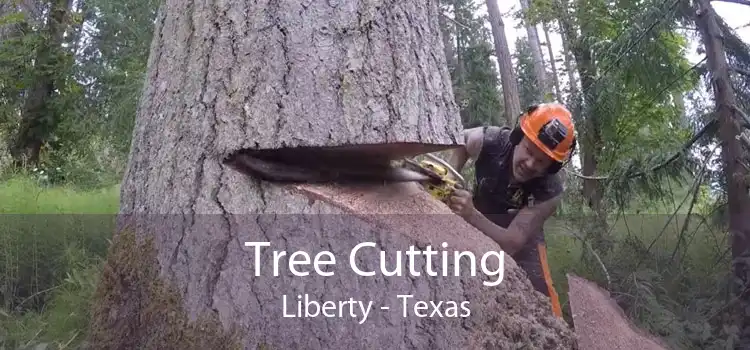 Tree Cutting Liberty - Texas