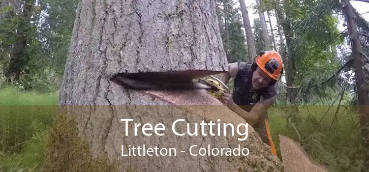 Tree Cutting Littleton - Colorado