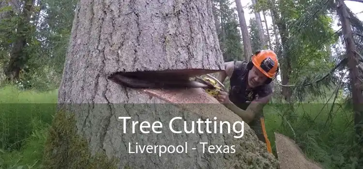 Tree Cutting Liverpool - Texas