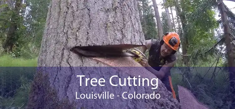 Tree Cutting Louisville - Colorado