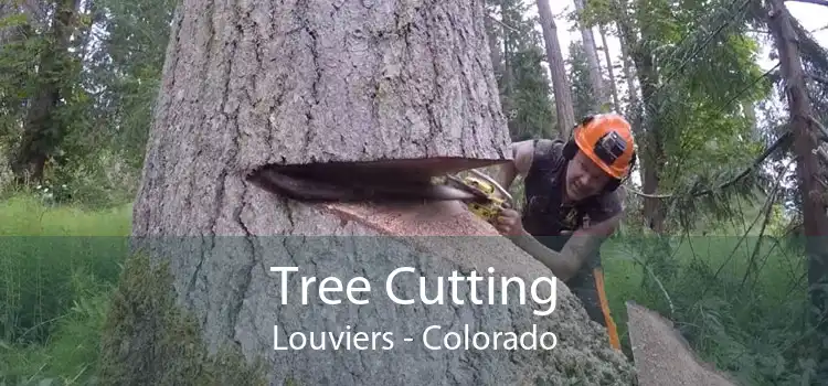 Tree Cutting Louviers - Colorado