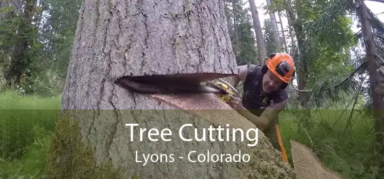 Tree Cutting Lyons - Colorado