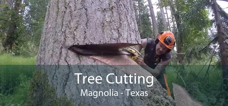 Tree Cutting Magnolia - Texas