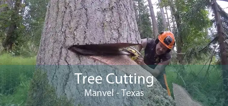 Tree Cutting Manvel - Texas