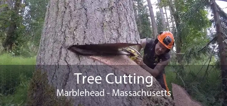 Tree Cutting Marblehead - Massachusetts