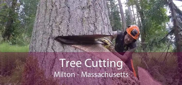 Tree Cutting Milton - Massachusetts