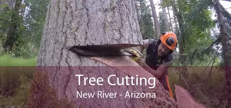 Tree Cutting New River - Arizona