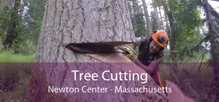 Tree Cutting Newton Center - Massachusetts