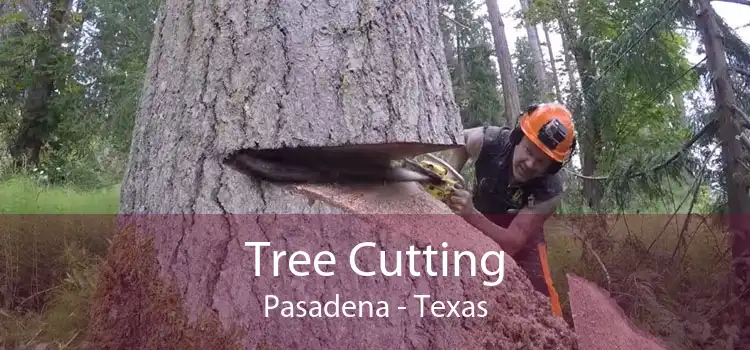 Tree Cutting Pasadena - Texas