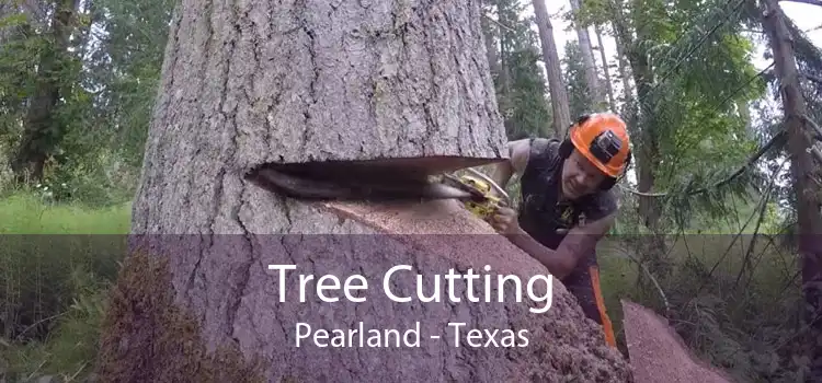 Tree Cutting Pearland - Texas