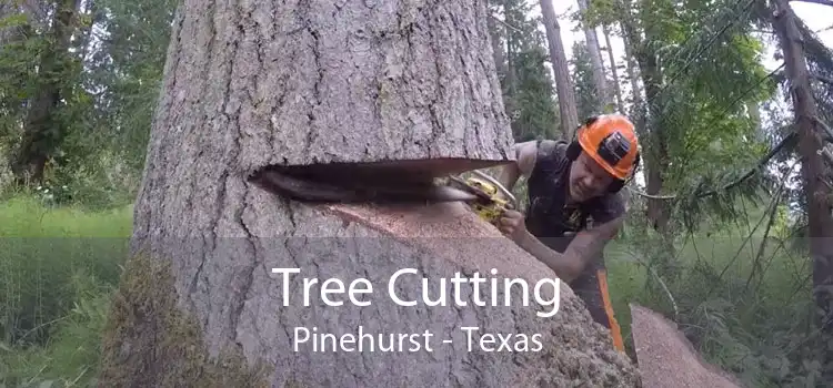 Tree Cutting Pinehurst - Texas