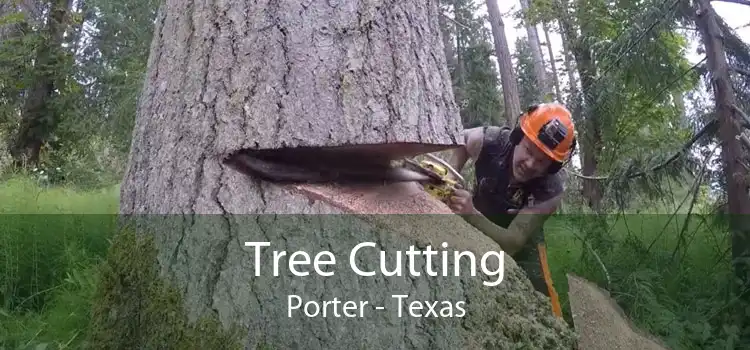 Tree Cutting Porter - Texas