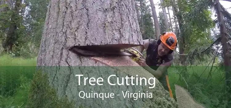 Tree Cutting Quinque - Virginia