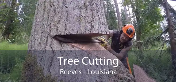 Tree Cutting Reeves - Louisiana