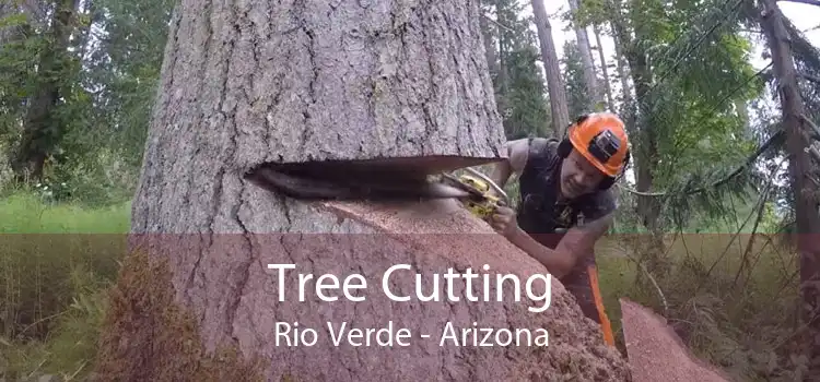 Tree Cutting Rio Verde - Arizona