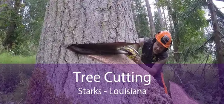 Tree Cutting Starks - Louisiana