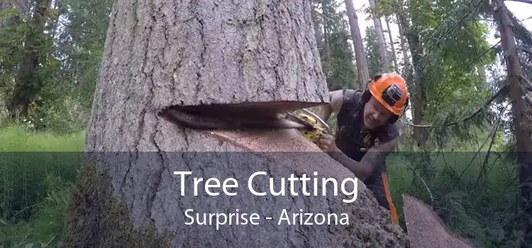 Tree Cutting Surprise - Arizona