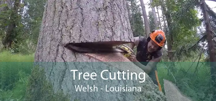 Tree Cutting Welsh - Louisiana