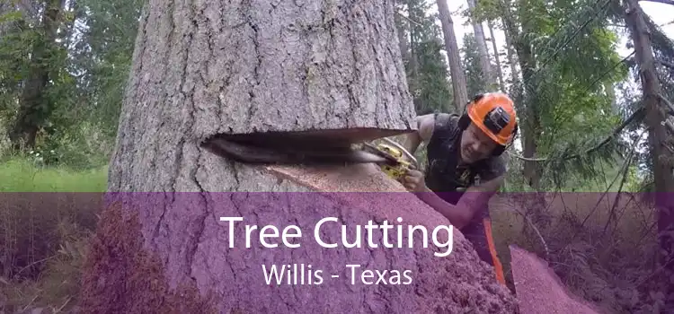 Tree Cutting Willis - Texas