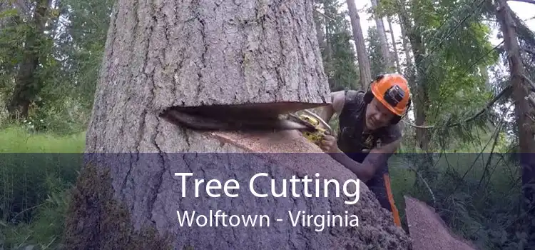 Tree Cutting Wolftown - Virginia