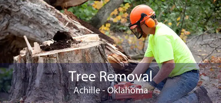 Tree Removal Achille - Oklahoma