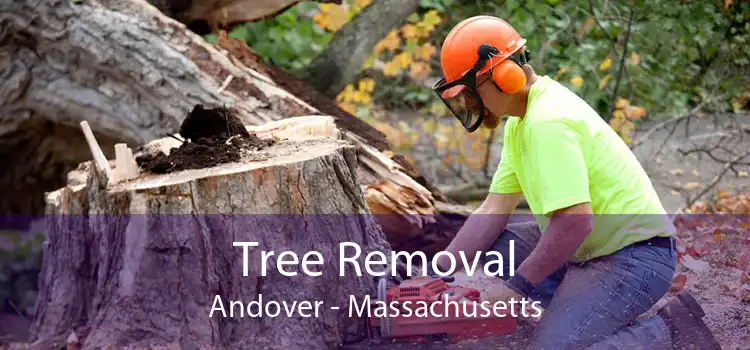 Tree Removal Andover - Massachusetts