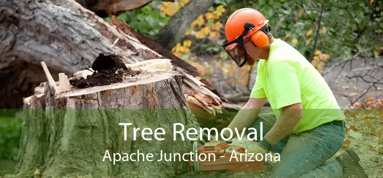 Tree Removal Apache Junction - Arizona