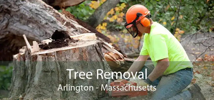 Tree Removal Arlington - Massachusetts