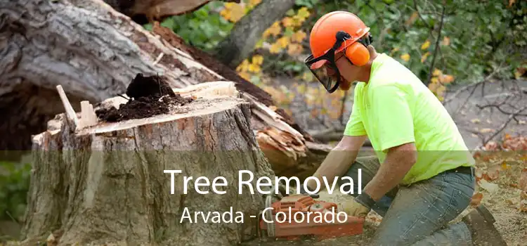 Tree Removal Arvada - Colorado