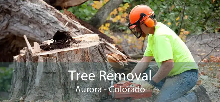 Tree Removal Aurora - Colorado