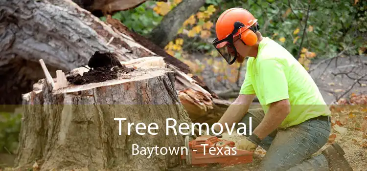 Tree Removal Baytown - Texas