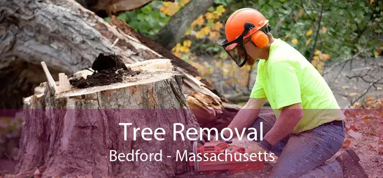 Tree Removal Bedford - Massachusetts