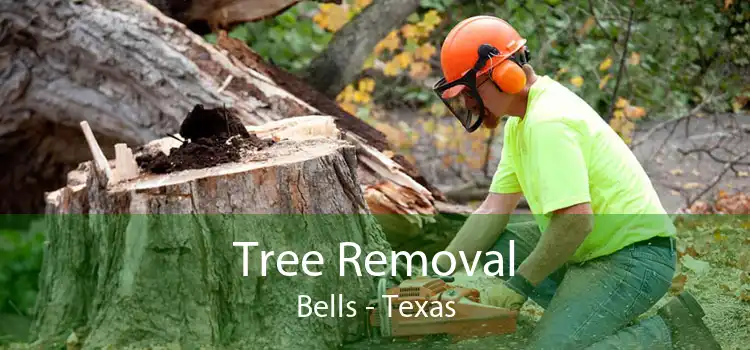 Tree Removal Bells - Texas